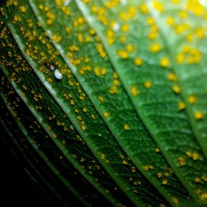 Full frame shot of yellow surface