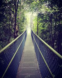 Footbridge amidst trees in forest against sky