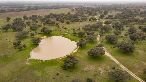 High angle view of a lake