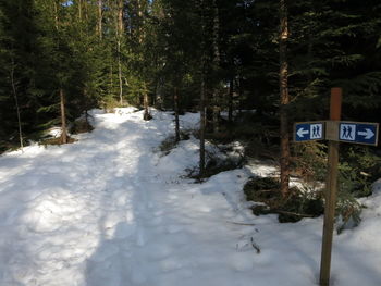 Road sign on snow covered field in forest