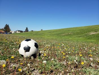 Soccer ball on field against clear blue sky