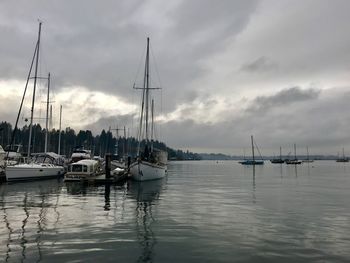 Sailboats moored in harbor against sky