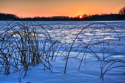 Silhouette grass on snow covered field during sunset