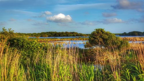 Scenic view of lake against sky