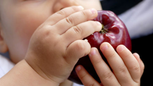 Midsection of baby eating apple