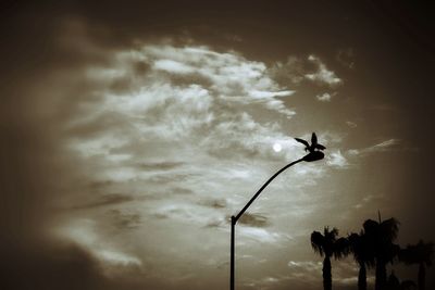 Low angle view of silhouette bird flying against sky