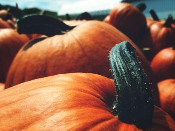 Close-up of pumpkin for sale at market