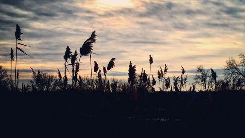 Scenic view of field against cloudy sky