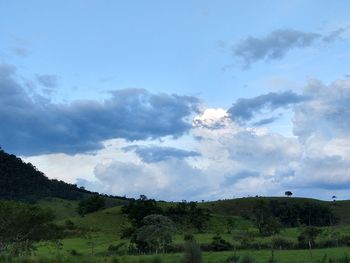 Scenic view of field against sky