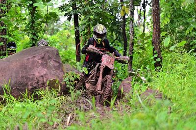 Portrait of man sitting on rock in forest