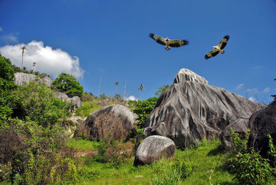 Natuna to hdr