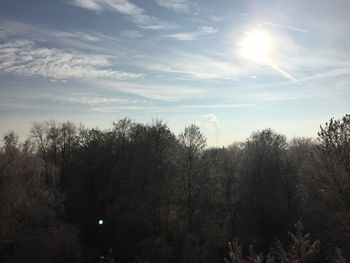 Low angle view of silhouette trees against sky