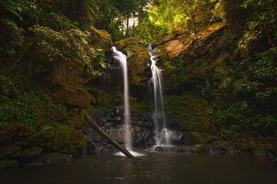 Scenic view of waterfall in forest