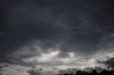 Low angle view of silhouette birds flying against sky