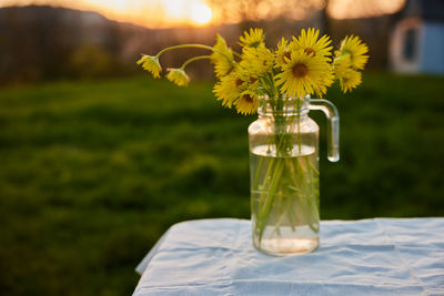 Close-up of flowers in glass on table