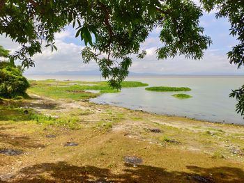 Scenic view of sea against sky