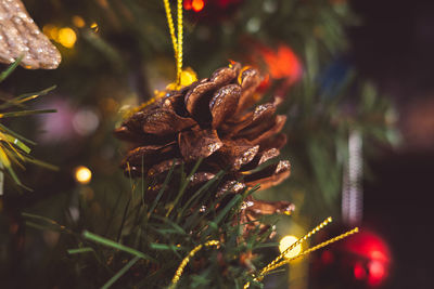 Close up of a pine cone christmas tree decoration christmas tree