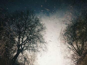 Reflection of trees in water at night