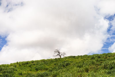 Scenic view of land against sky