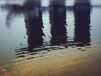 Reflection of trees in water