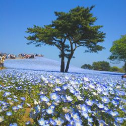Scenic view of calm sea against sky