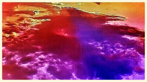 Close-up of tree against sky