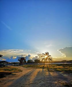 Road amidst field against sky during sunset