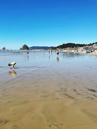 People on beach against clear blue sky