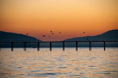 Silhouette birds flying over lake against orange sky