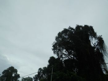 Low angle view of silhouette trees against sky