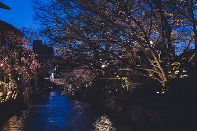 Trees by river against sky at night