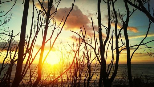 Scenic view of sunset over sea