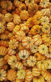 Full frame shot of pumpkins in market