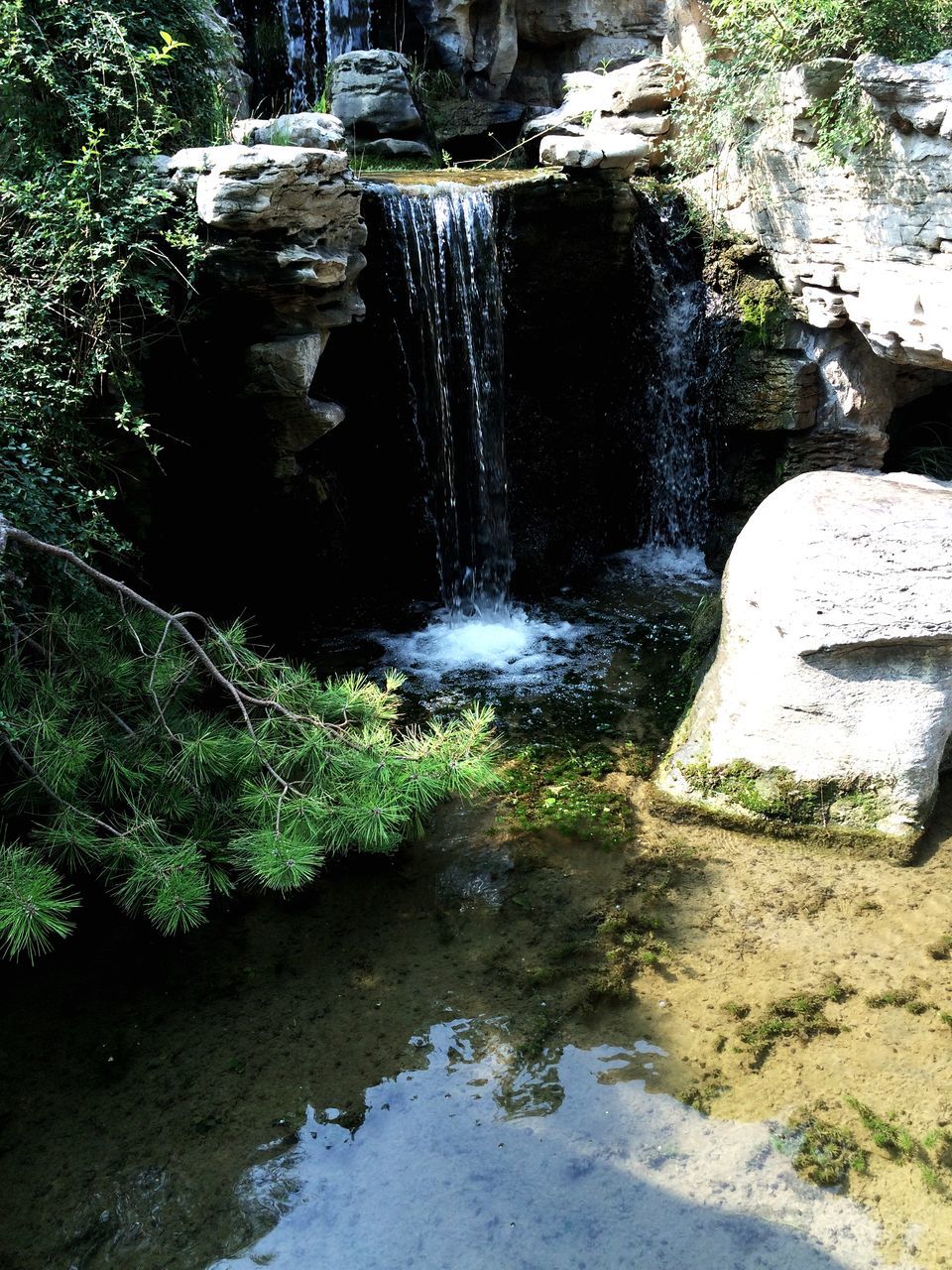 water, flowing water, tree, waterfall, motion, flowing, nature, forest, stream, plant, growth, rock - object, beauty in nature, day, tree trunk, long exposure, outdoors, tranquility, no people, reflection