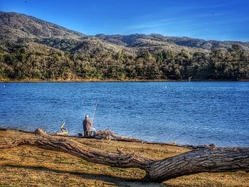 Scenic view of lake by trees against blue sky