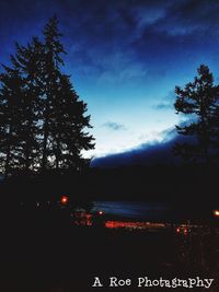 Silhouette trees by lake against sky at night