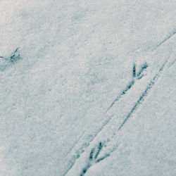 High angle view of footprints on snow covered field