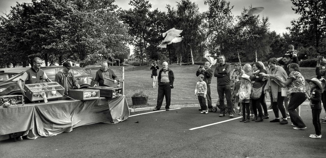 large group of people, men, person, lifestyles, tree, leisure activity, mixed age range, walking, street, togetherness, crowd, park - man made space, day, outdoors, road, group of people, casual clothing, city life, sunlight