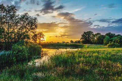 Scenic view of field against sky during sunset