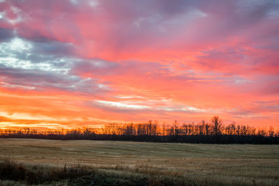 Scenic view of field against sky during sunset