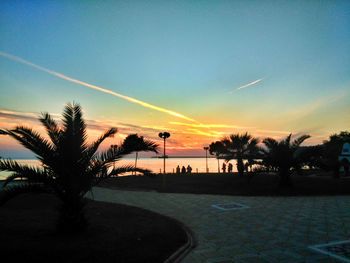 Silhouette palm trees at sunset