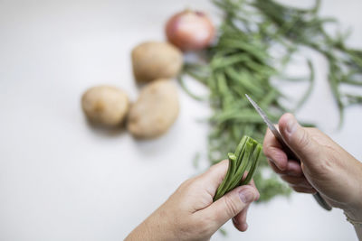 Close-up of hand holding vegetables