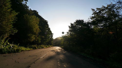 Road amidst trees against sky