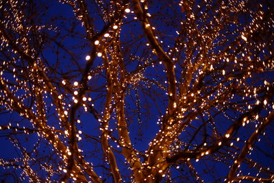 Low angle view of illuminated tree against blue sky