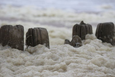 Close-up of rocks on beach