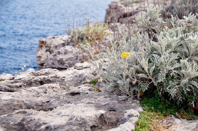 Scenic view of sea and rocks