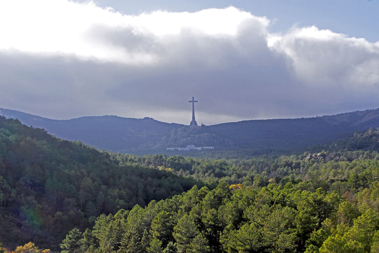 SCENIC VIEW OF FOREST AGAINST SKY