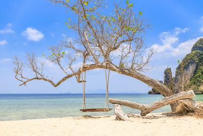 Wooden swing hang under tree at koh phak bia island, krabi, thailand