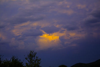 Low angle view of silhouette trees against sky