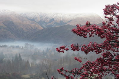 Scenic view of snowcapped mountains during winter